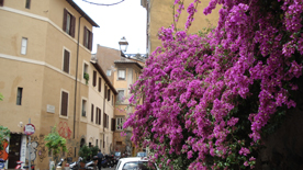 vicolo-bologna-12370593reco